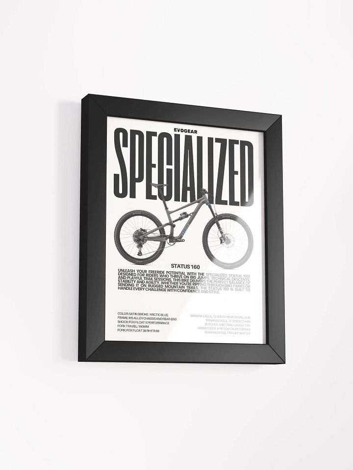 Specialized Status 160 Frame product image (8)