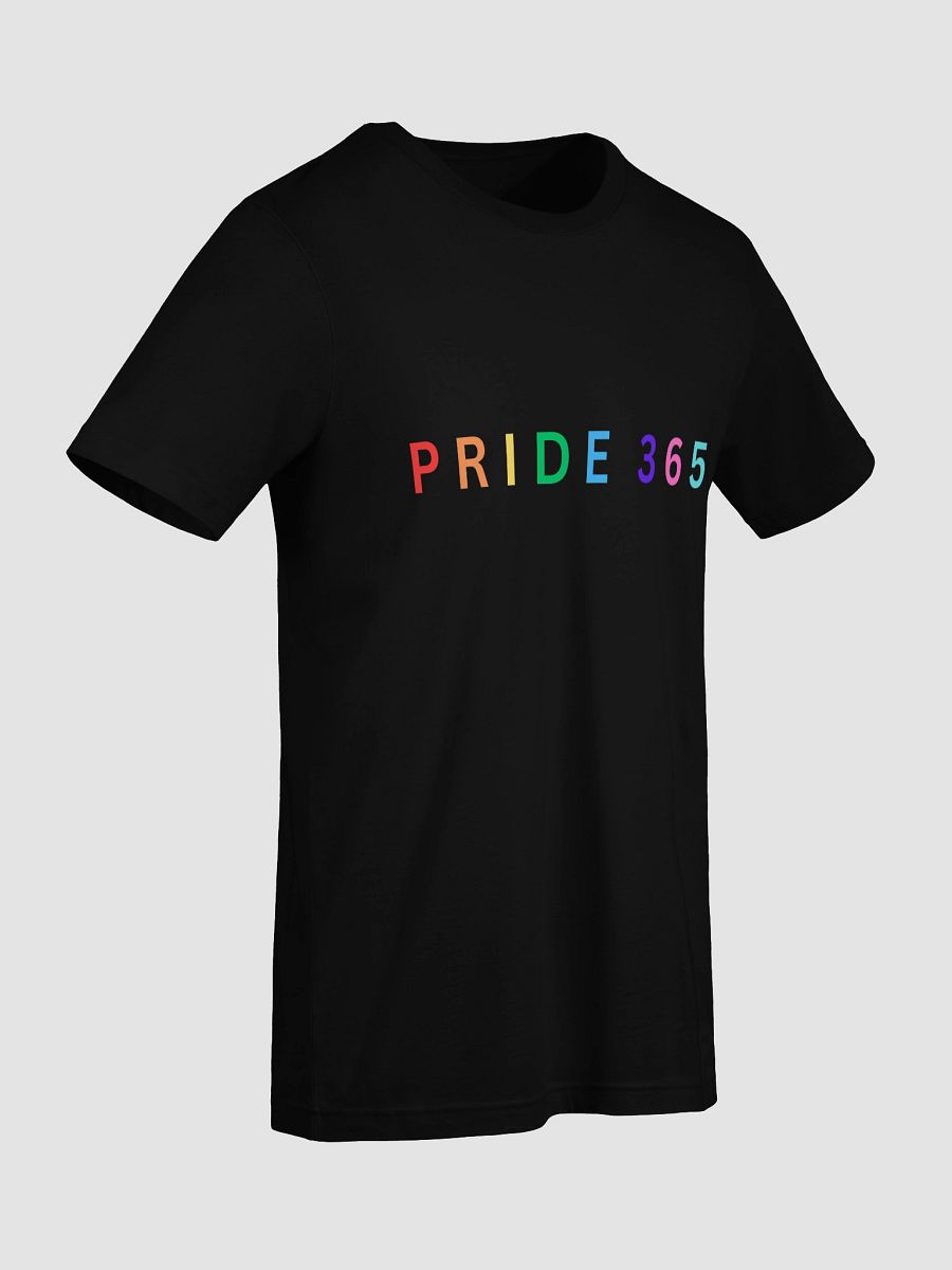 Pride 365 Tee product image (73)