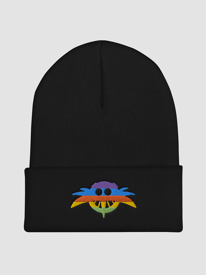 THE GAY ASS BEANIE product image (1)
