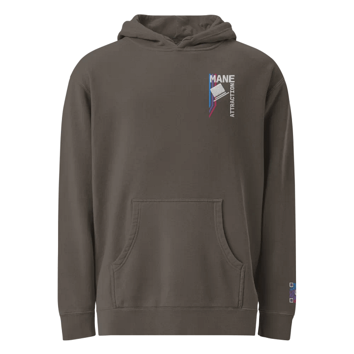 MA Hat Embroidered Hoodie product image (1)