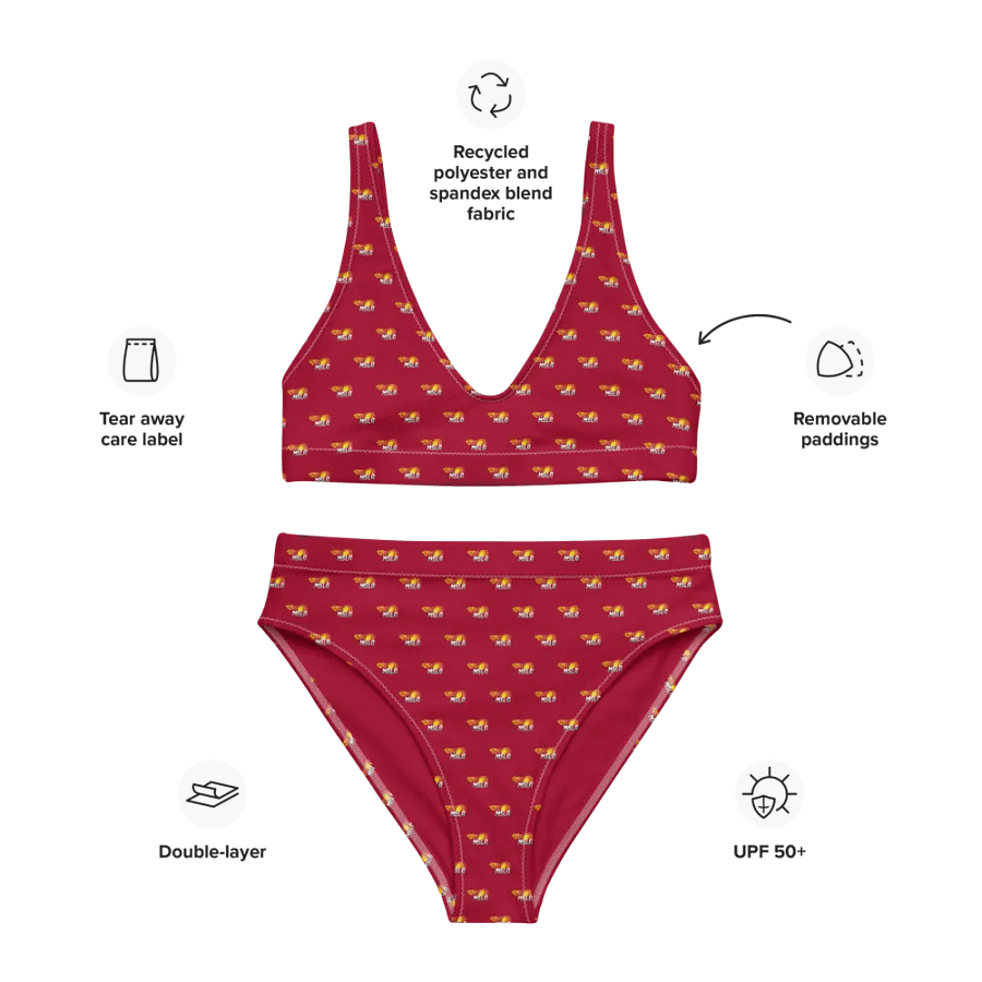 MSLA Red High Waisted Bikini product image (7)