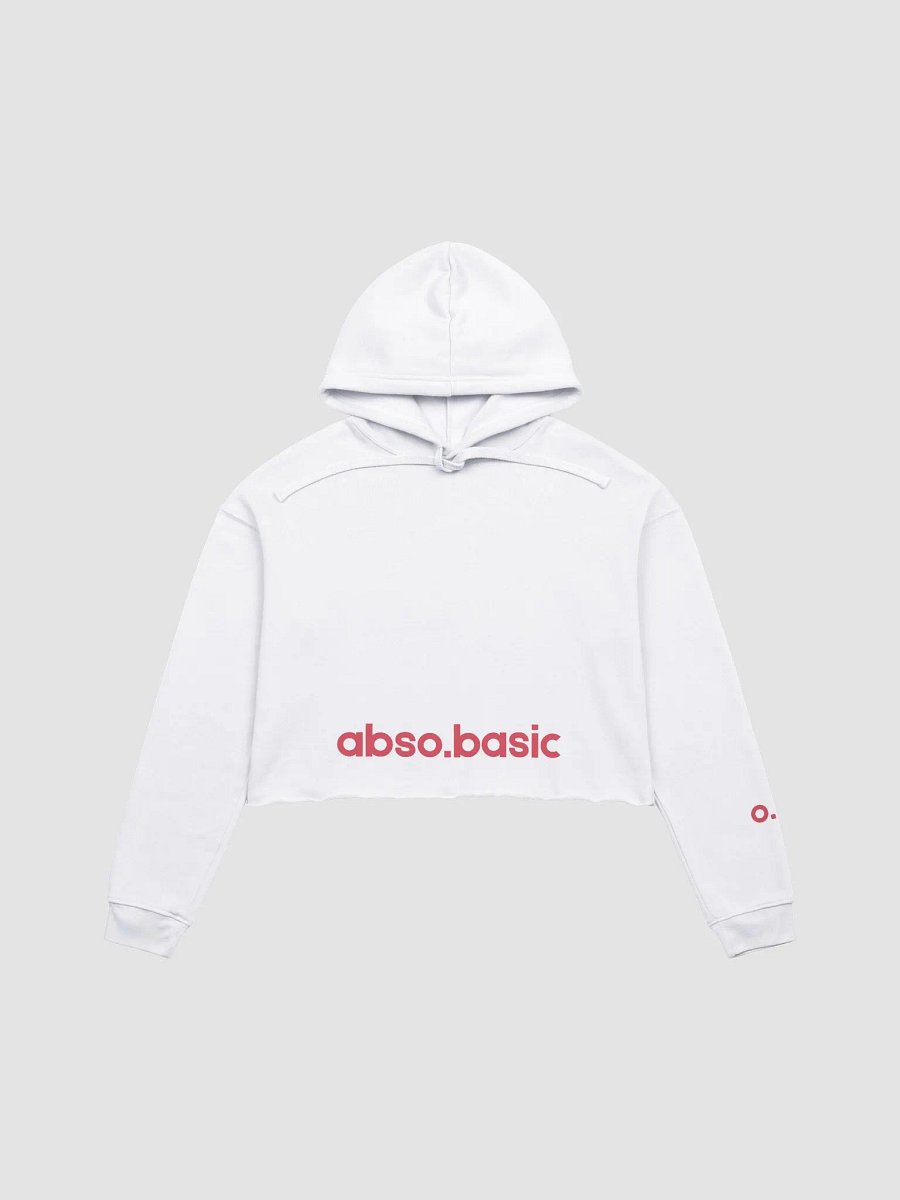 Her Music Vintage Crop Hoodie product image (4)