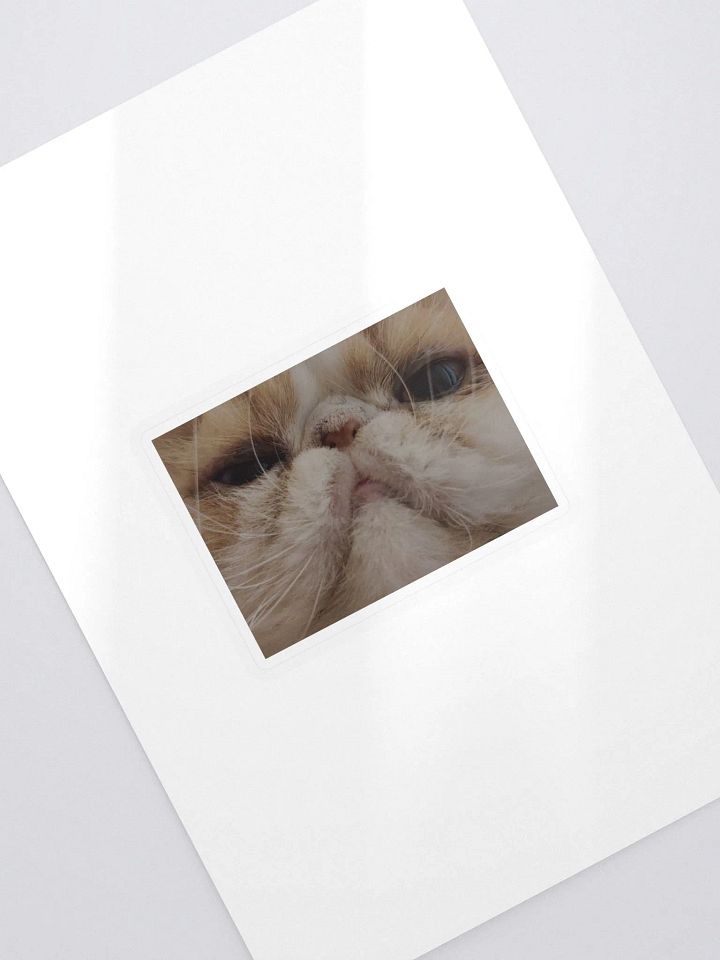 Pls Respond Sticker product image (2)