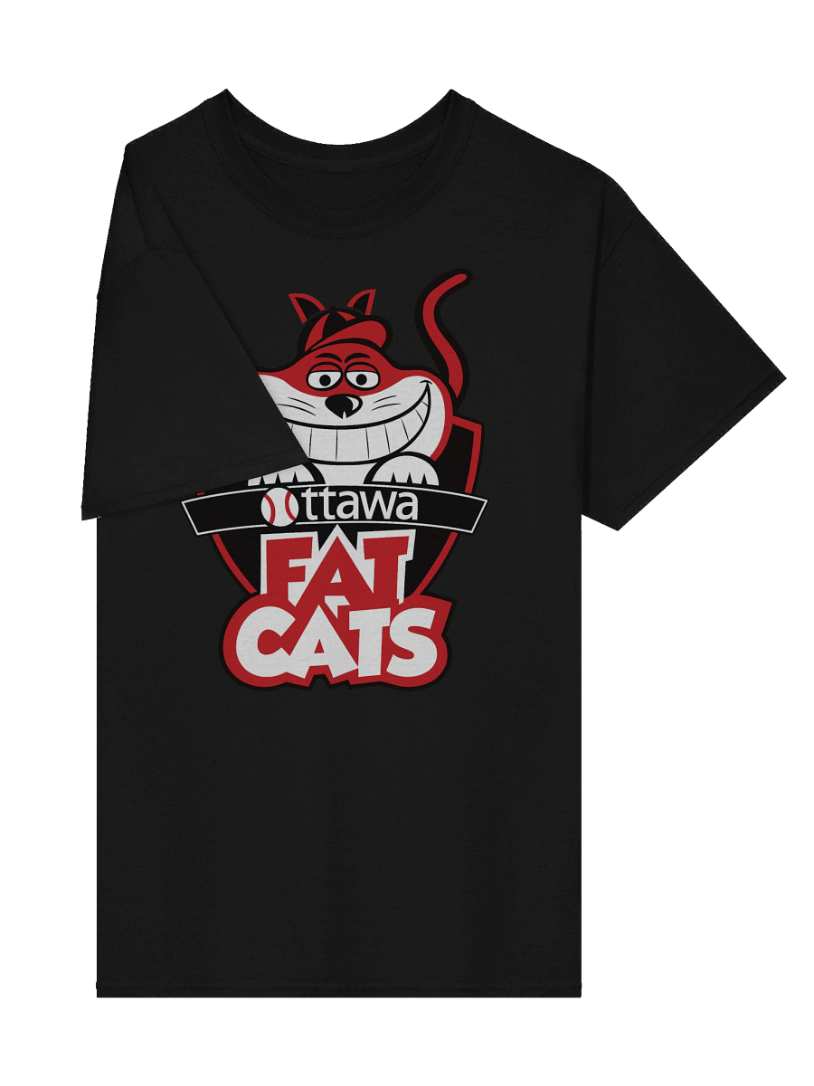 Ottawa Fat Cats - Unisex T-Shirt product image (30)
