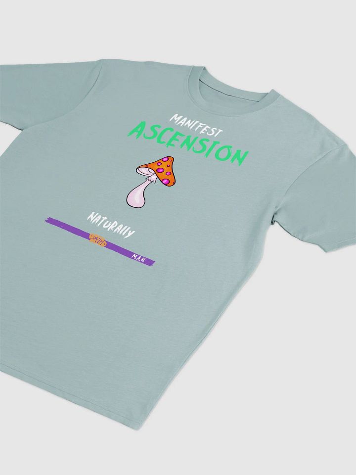 Ascension Mushroom Men's Tee product image (8)