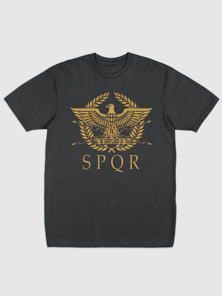 Rome Reborn Heavy Tee product image (3)