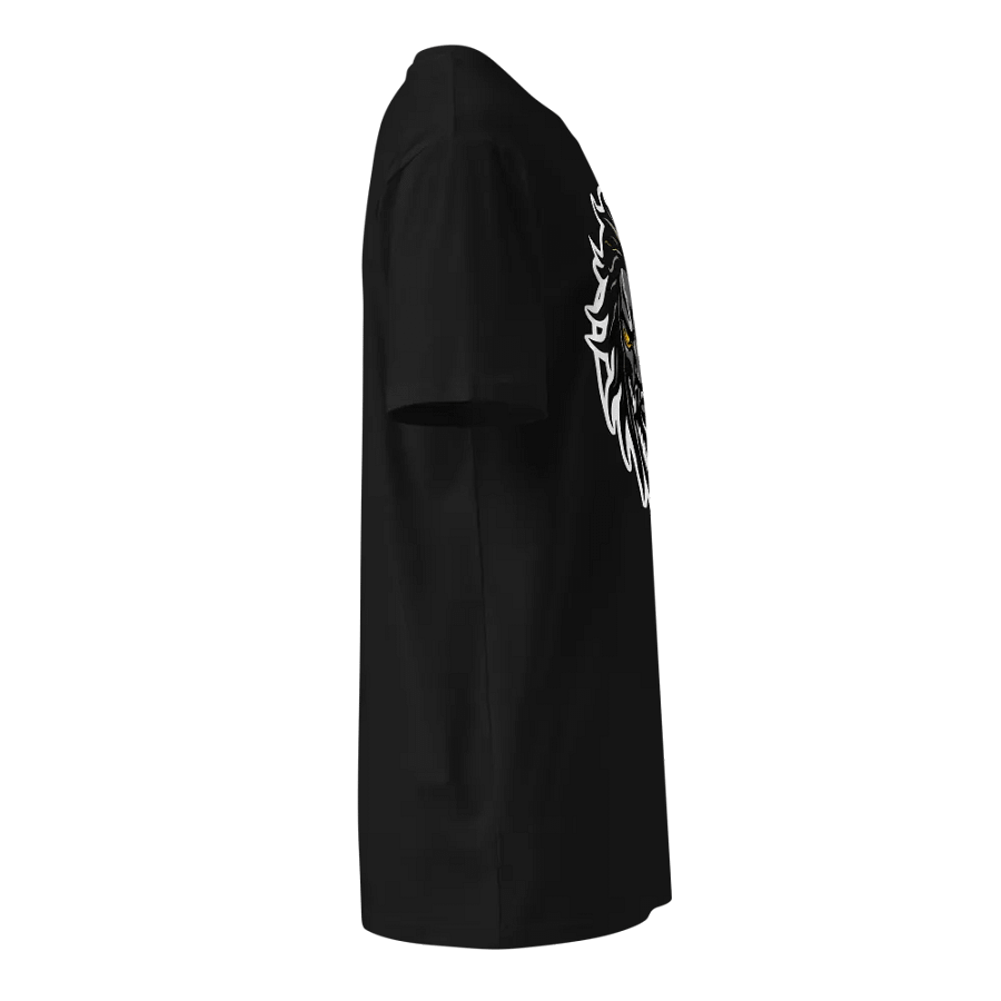 DHP Energy God Fierce Bearded Warrior Unisex T-Shirt product image (7)