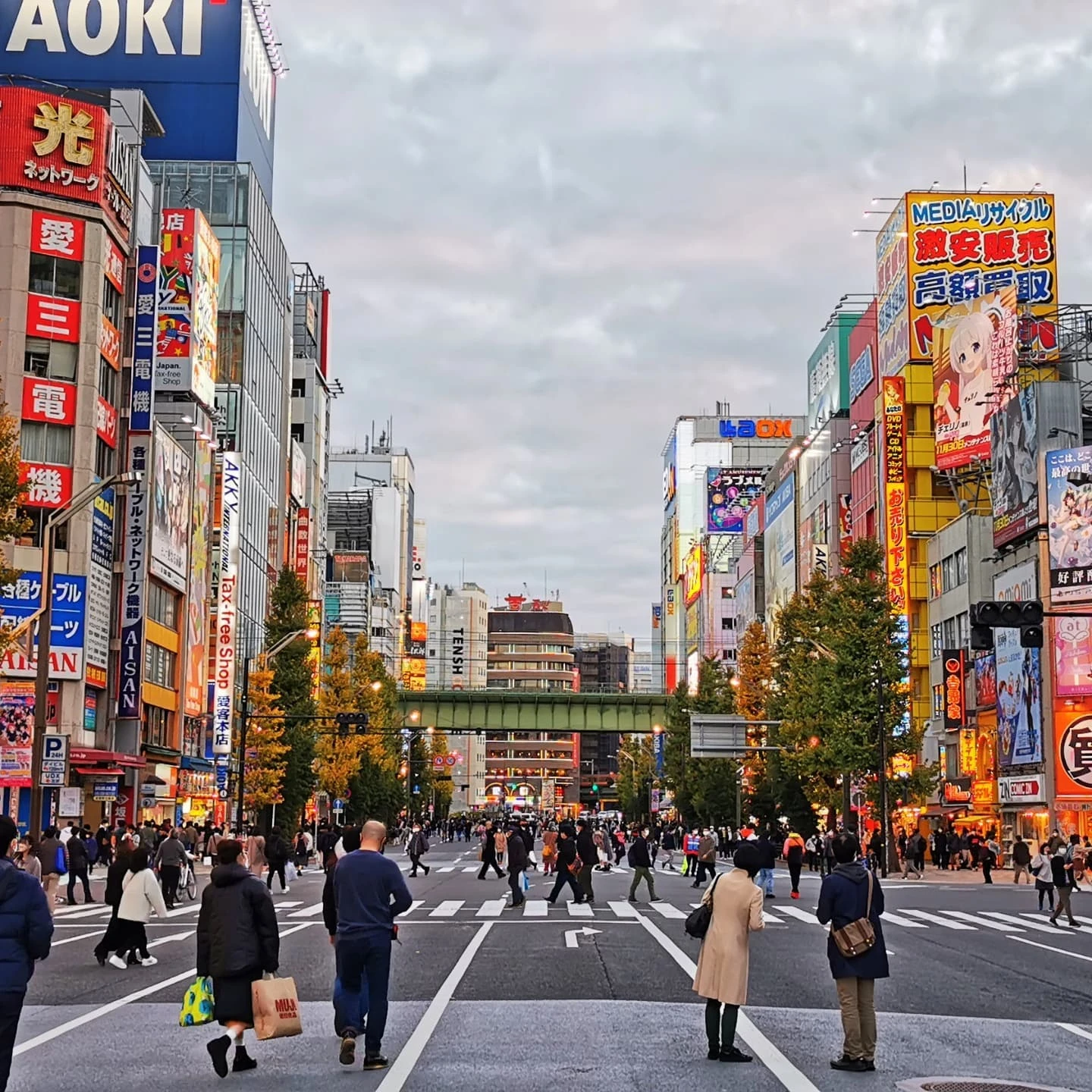 I was passing through Akihabara last Sunday and they had the main street shut down to cars and bicycles, leaving it only open...