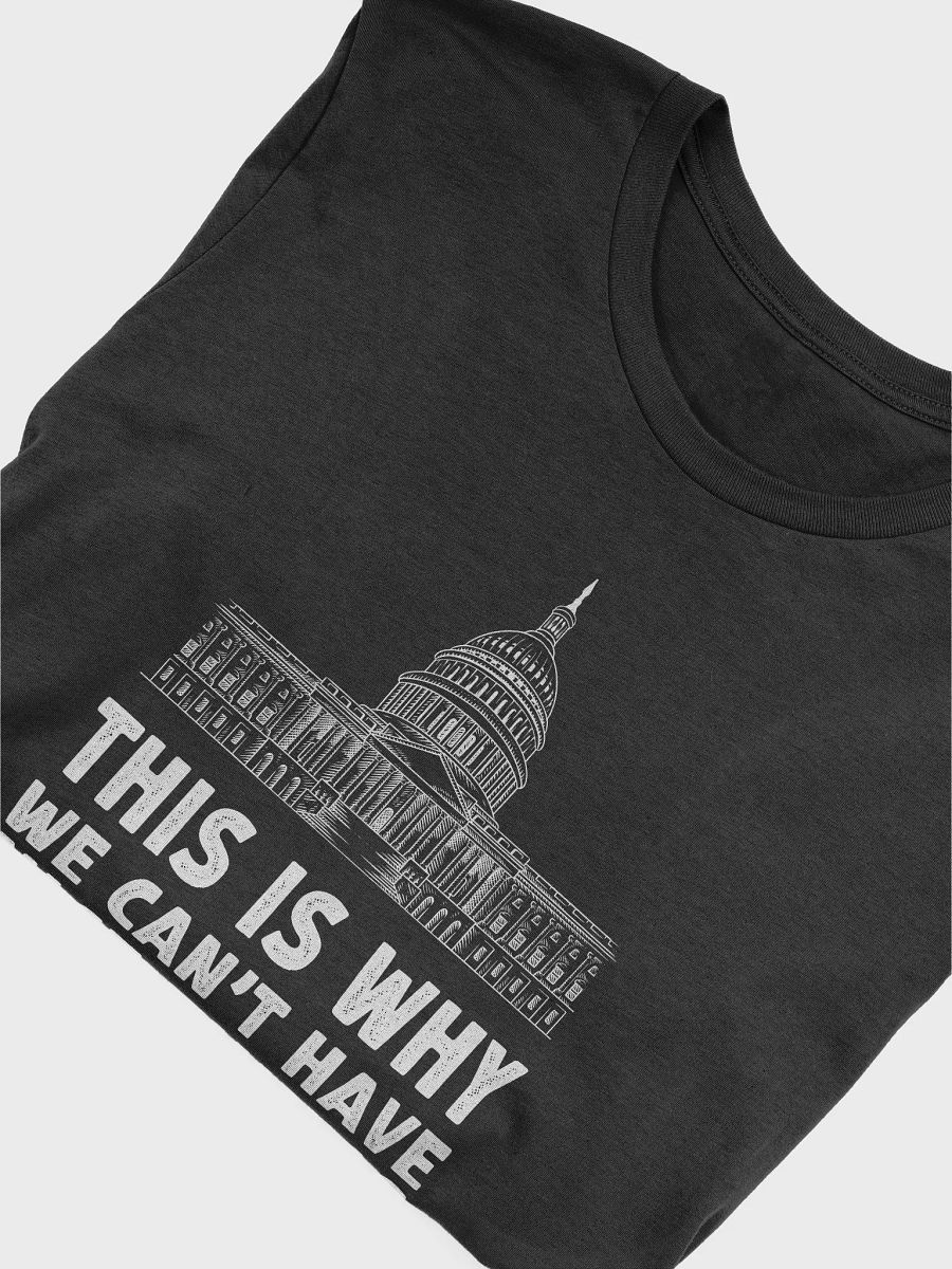 This is Why We Can't Have Nice Things Funny Anti Capitol Political T-Shirt product image (4)