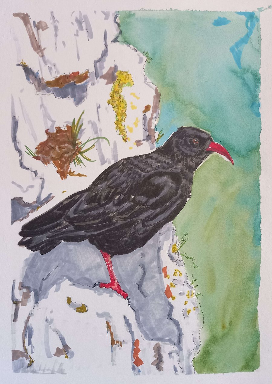 Original Art Series: Corvids [04] Chough product image (1)