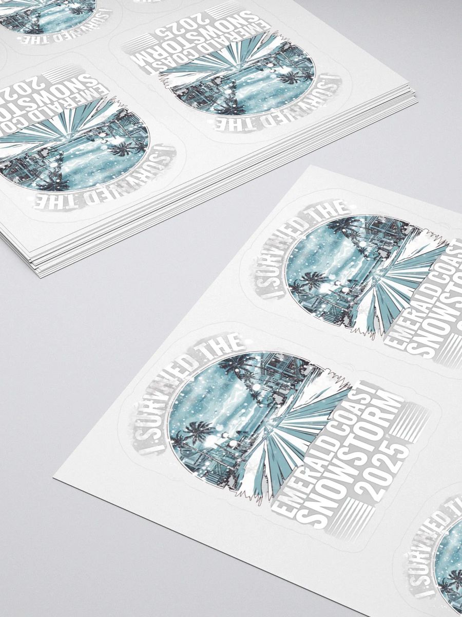 I Survived the Emerald Coast Snowstorm 2025 Sticker Set product image (4)