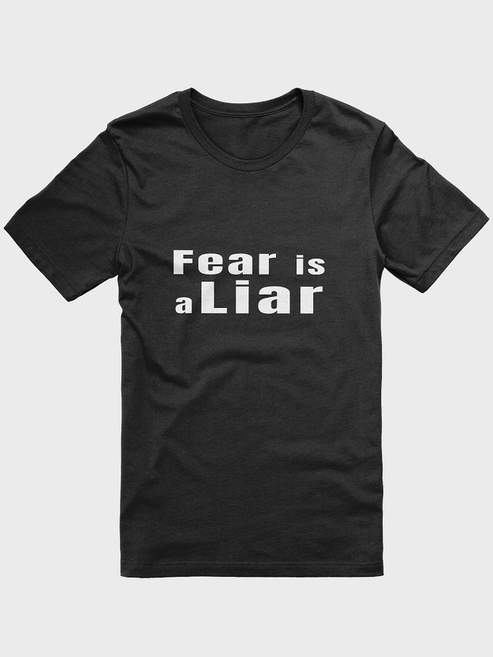 Fear Is a Liar product image (1)