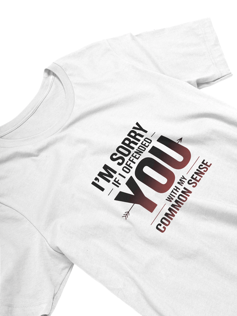 OFFENDING TSHIRT product image (3)