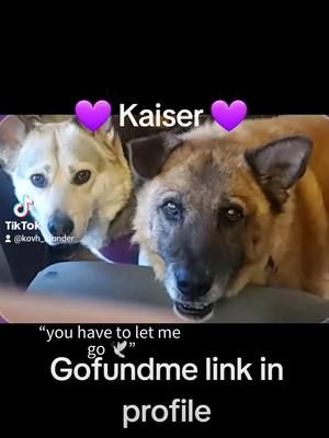#tiktok #share #gofundme 
