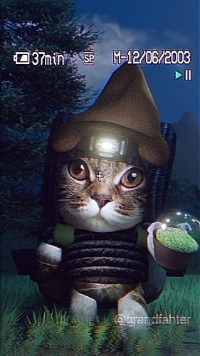 are you watching after his moss collection? #b3d #cat #kitten