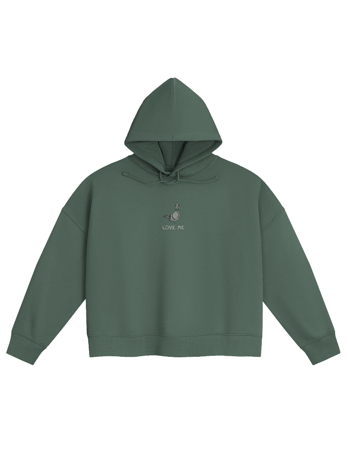 LOVE PIGEONS Illustrated Women's Hoodie product image (9)