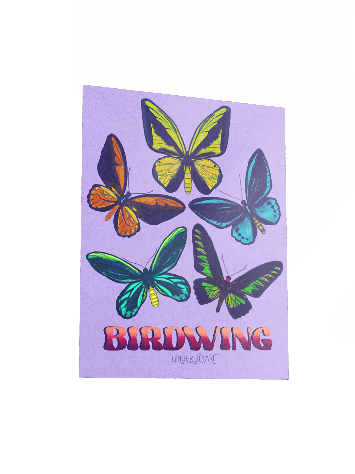 birdwing butterflies poster product image (2)