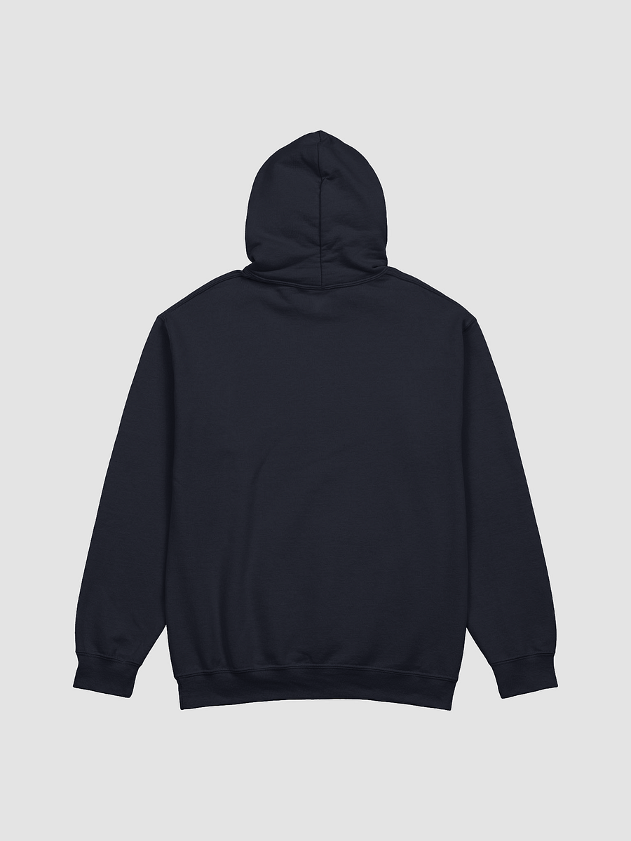 BUIII: Camp More, Worry Less Hoodie product image (14)