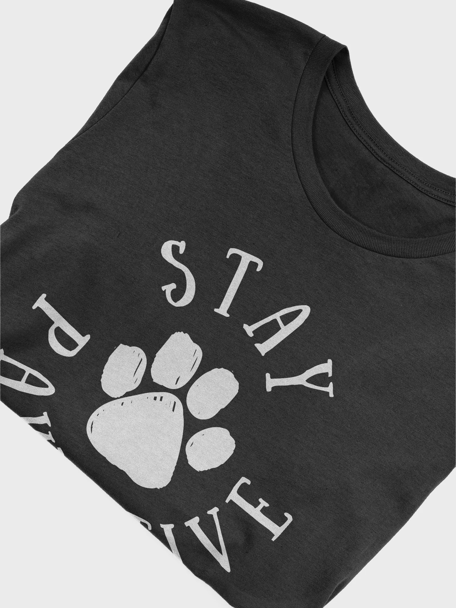 Stay Pawsitive Tee product image (5)