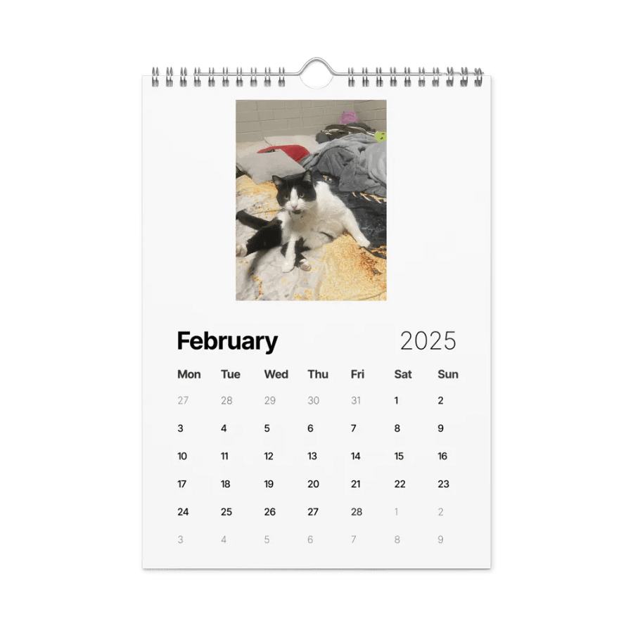 50 Shades of Haru - 2025 Wall Calendar product image (5)