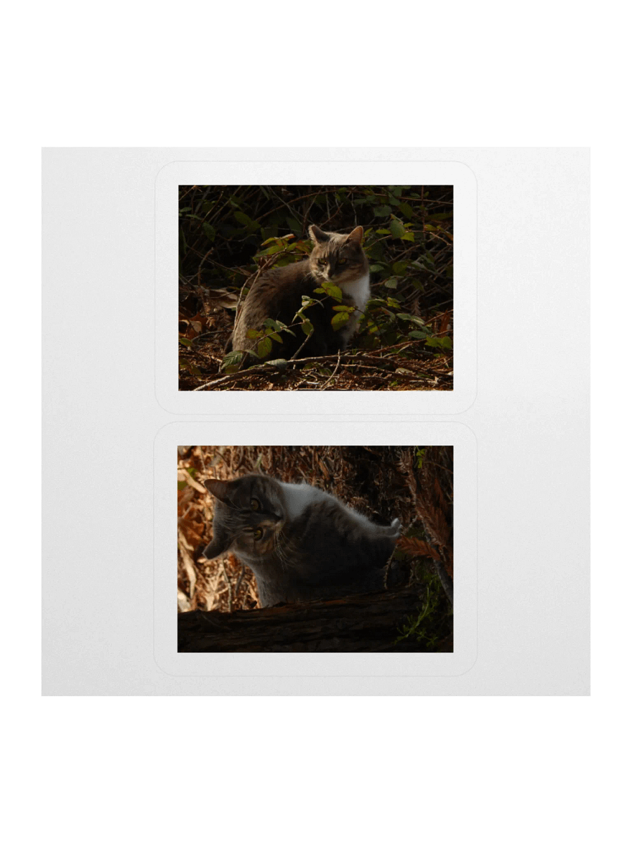 Forest Kitty - Sticker Sheet product image (1)