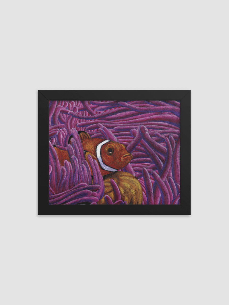 Clown Fish Framed Print product image (1)