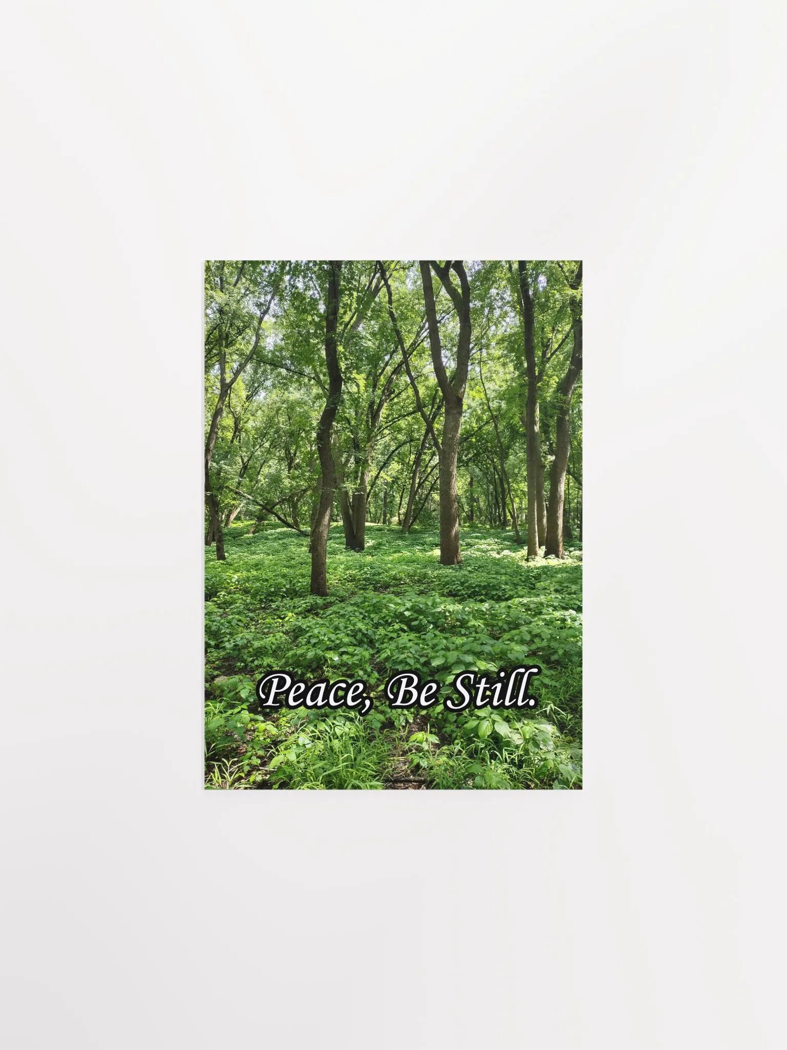 Peace, Be Still - Print product image (2)