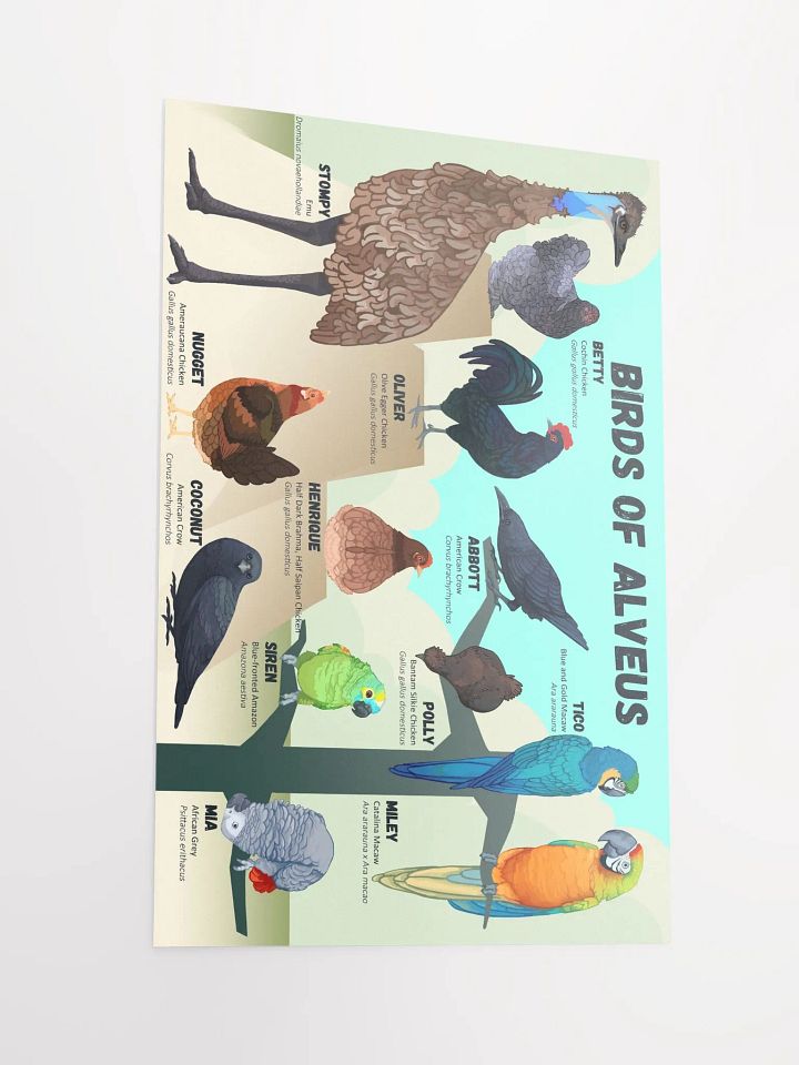 Birds of Alveus Poster product image (4)