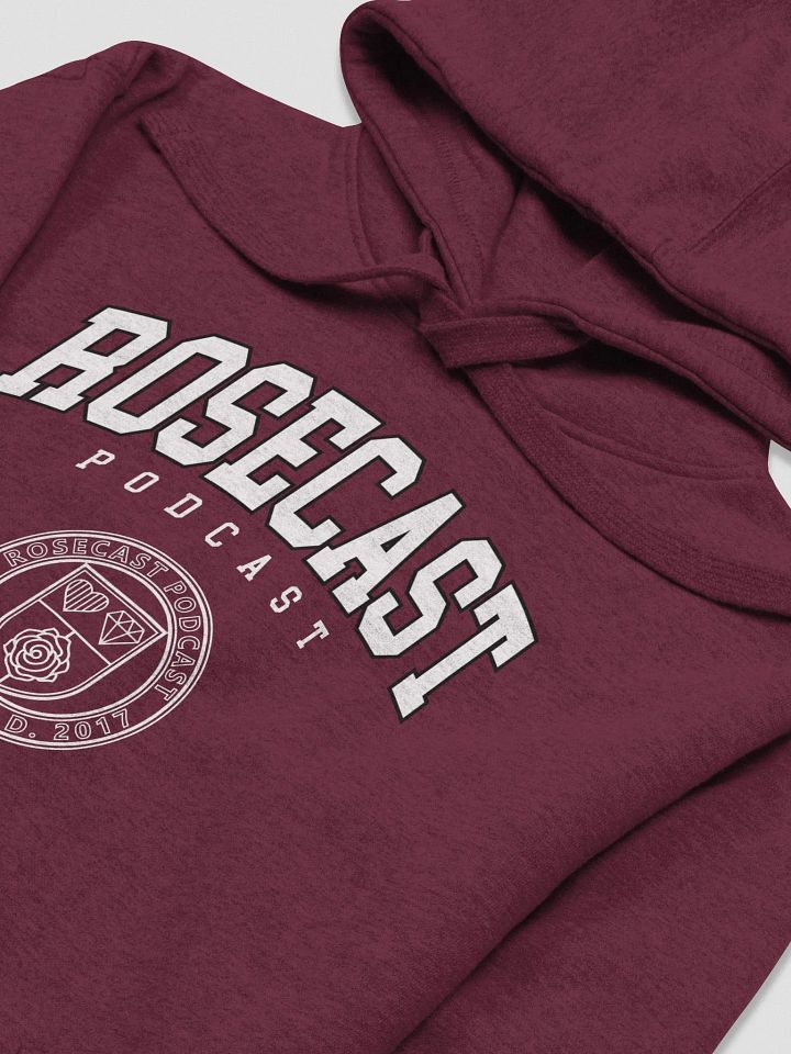 Fancy College Hoodie (Premium) product image (1)