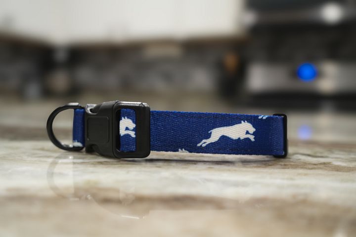 Cool Blue Collar product image (4)