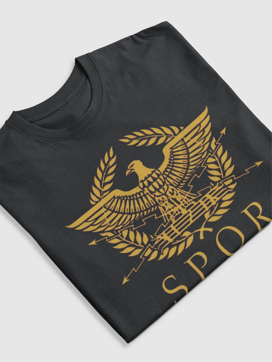 Rome Reborn Heavy Tee product image (9)