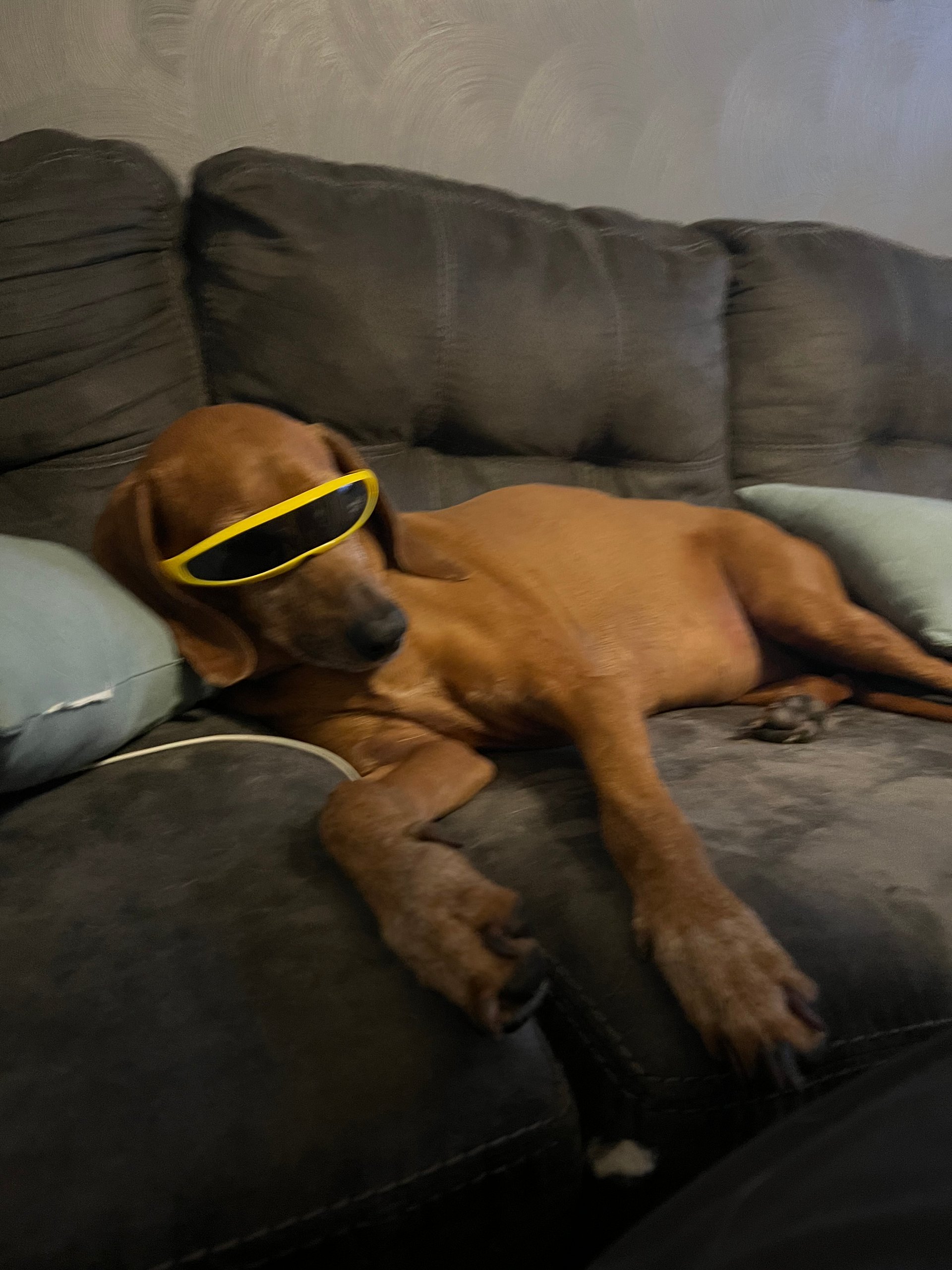 Lenny The Heart Custom ™ Yellow Glasses product image (2)