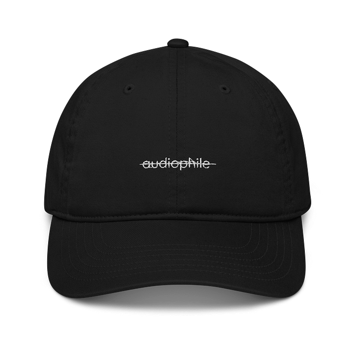 Not an audiophile hat product image (2)