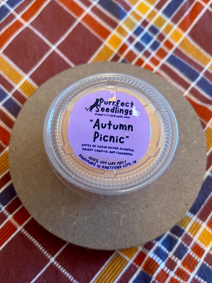 Autumn Picnic Wax Melt (LIMTED EDITION) product image (1)