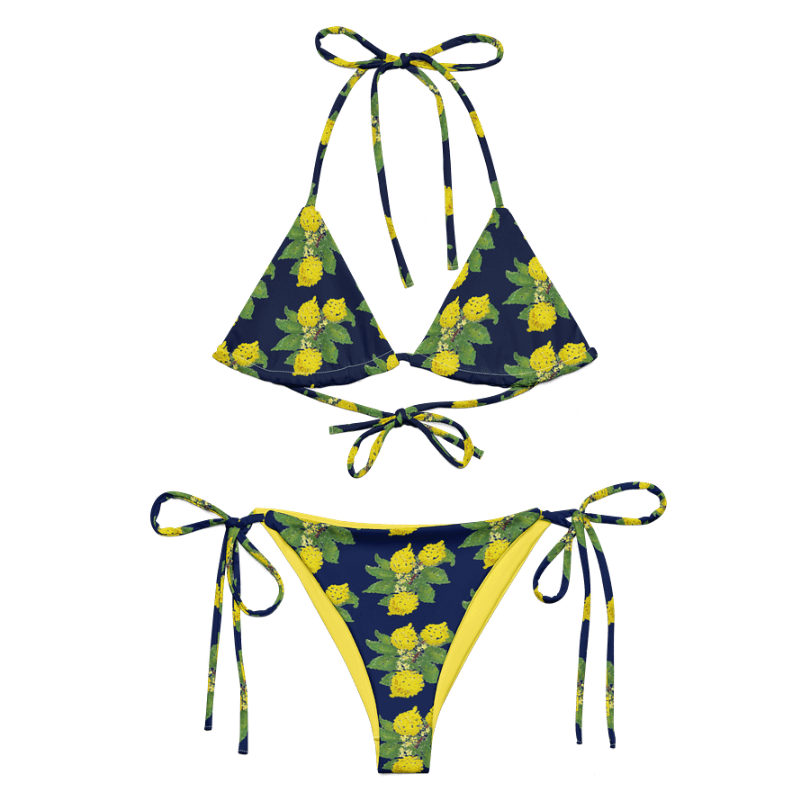 Lemon Love Blue Bikini Set product image (2)