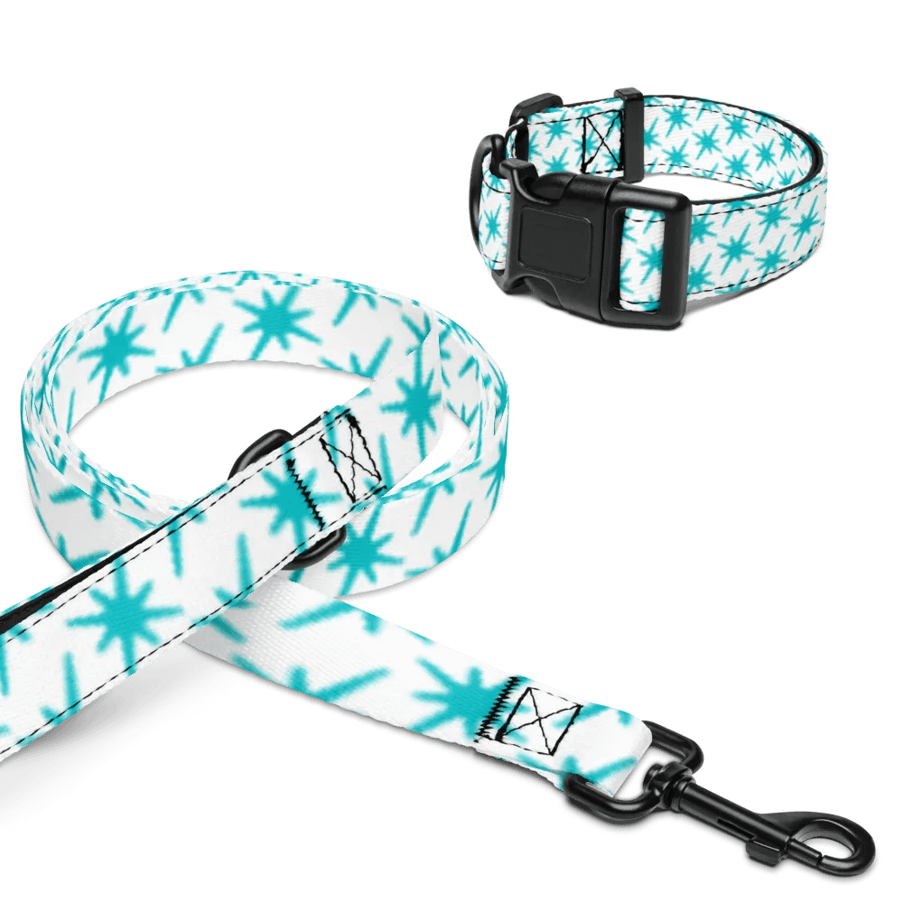 Cyan Starkle Dog Leash & Collar product image (16)