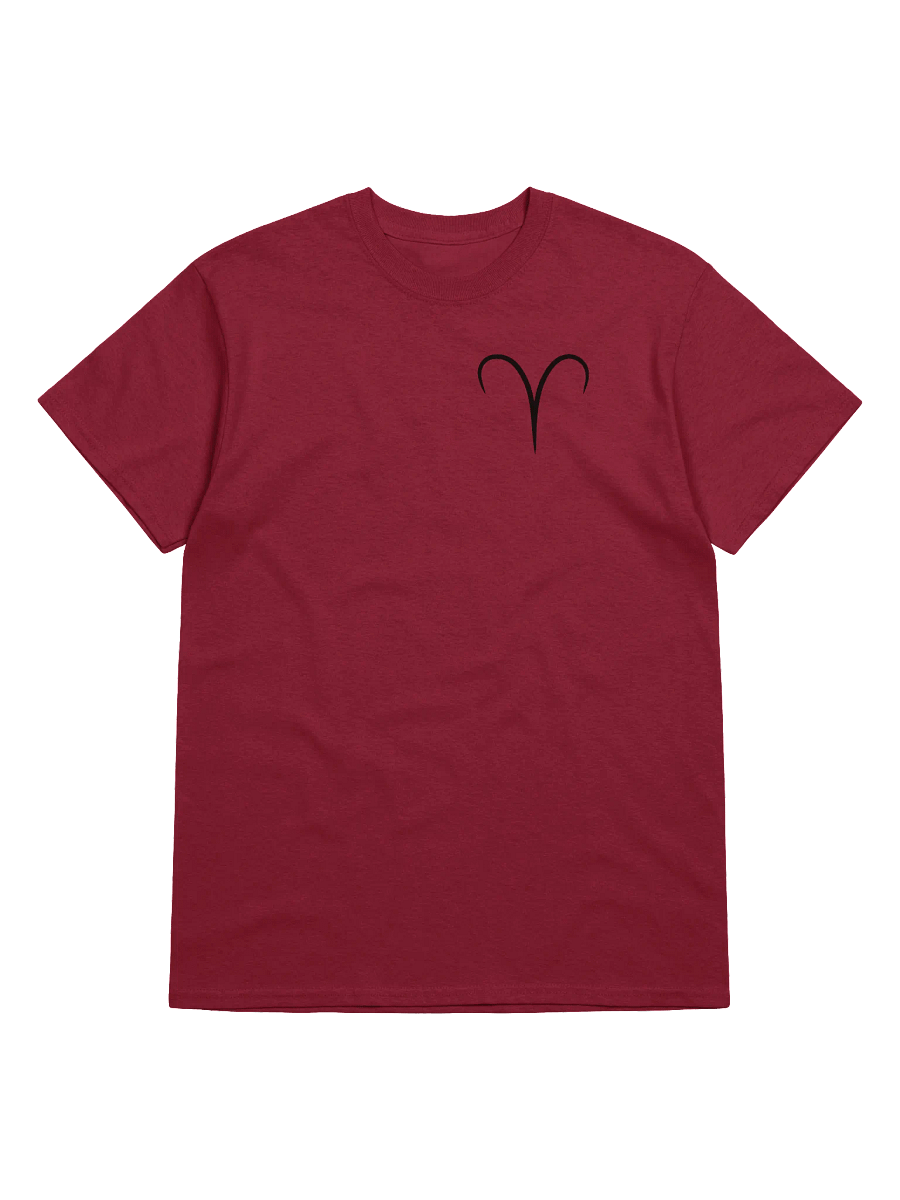 Aries T-shirt product image (1)