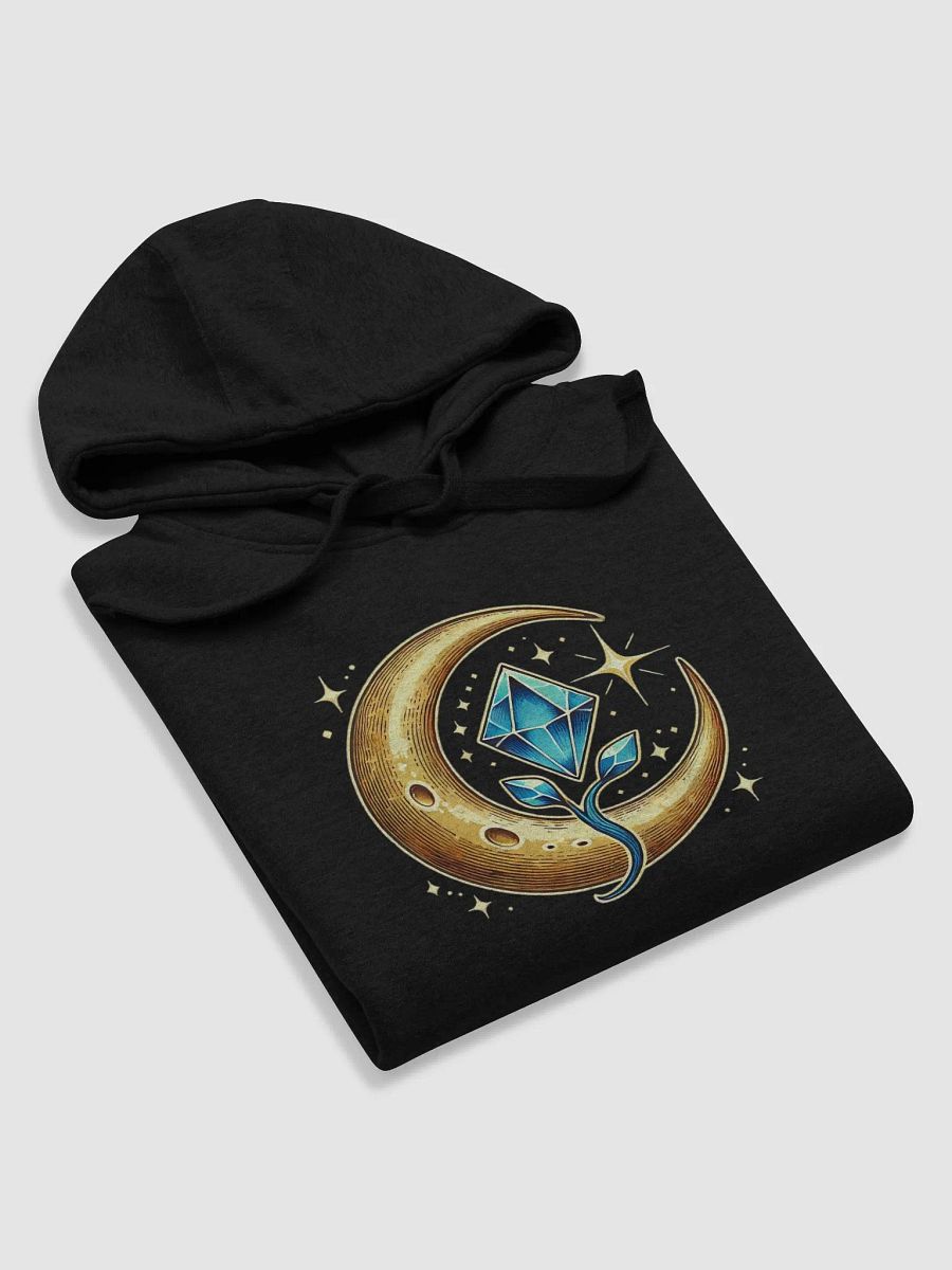 Tier 2 Hoodie '24 product image (4)