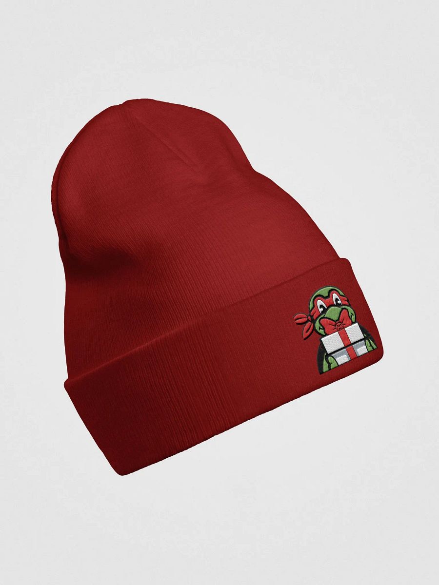 Holiday Raph Knit Beanie product image (22)