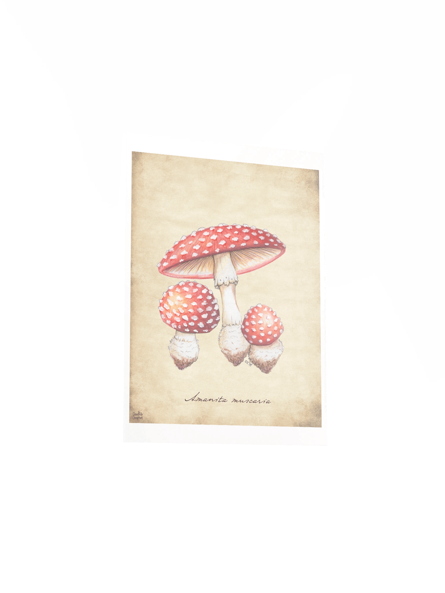 Amanita Muscaria - Art Print product image (4)