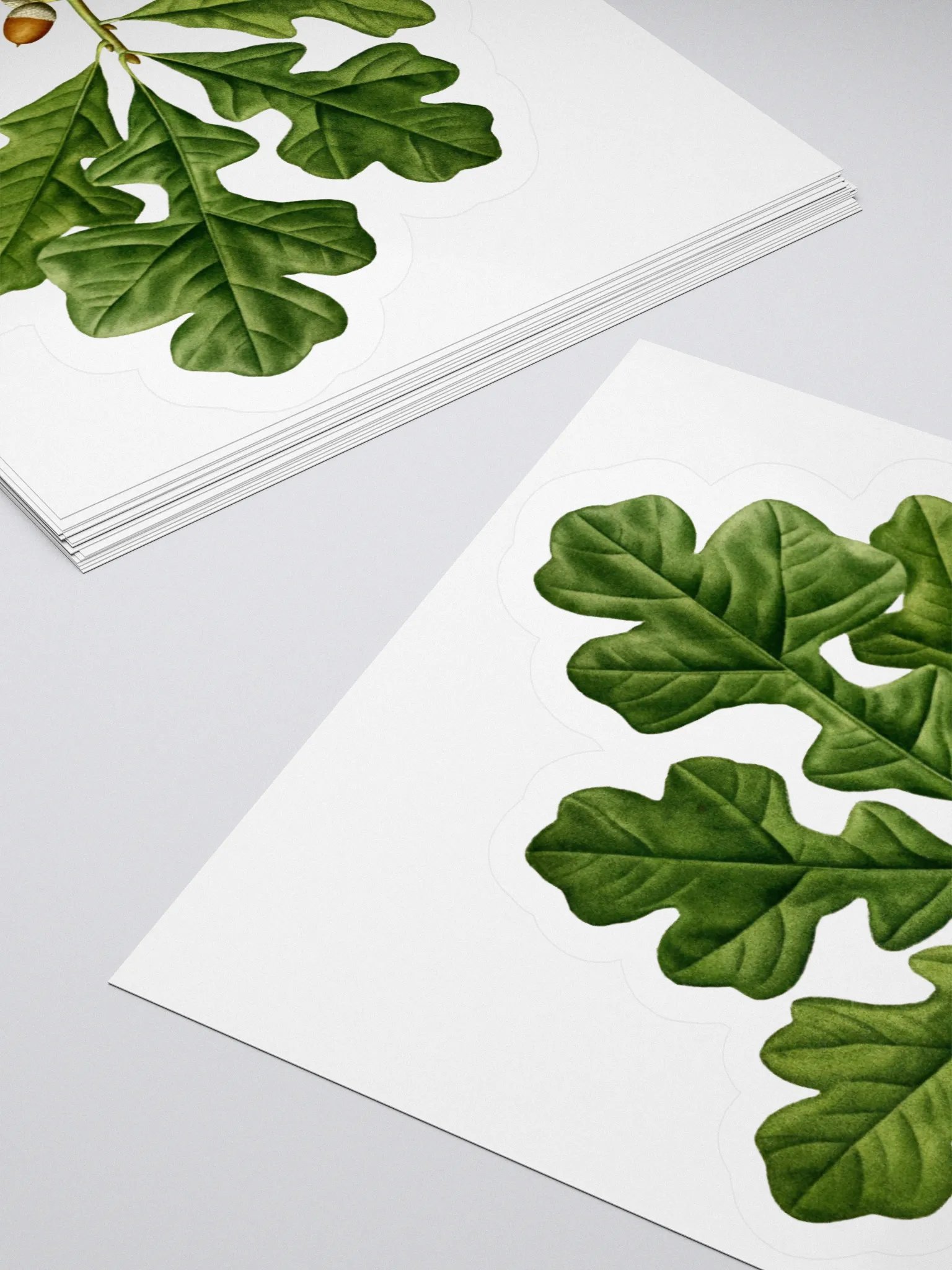 Post Oak Sticker product image (4)