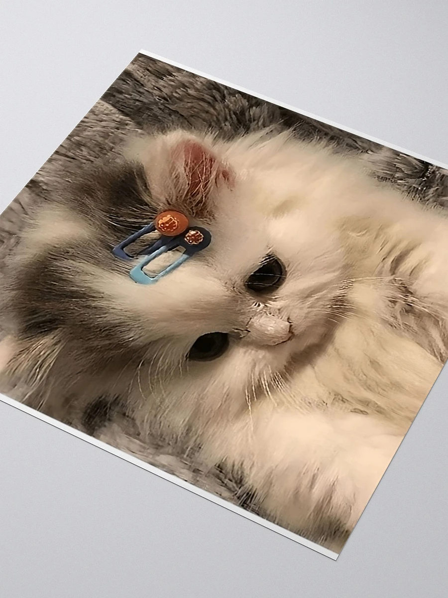 Kiss Cut Stickers: Meme Cats product image (3)