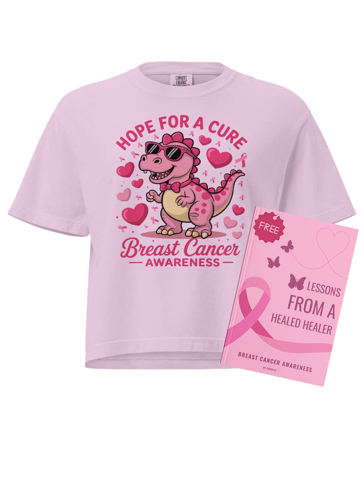 Pink Dinosaur Breast Cancer Support Hope for a Cure Heavyweight Boxy T-Shirt + Free Ebook product image (1)