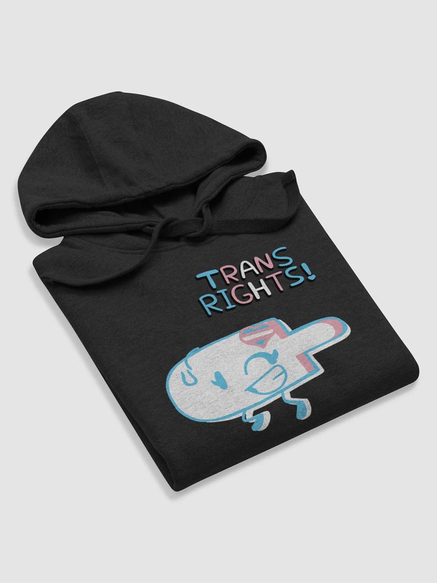 Treasure Tree Trans Rights Unisex Hoodie product image (38)