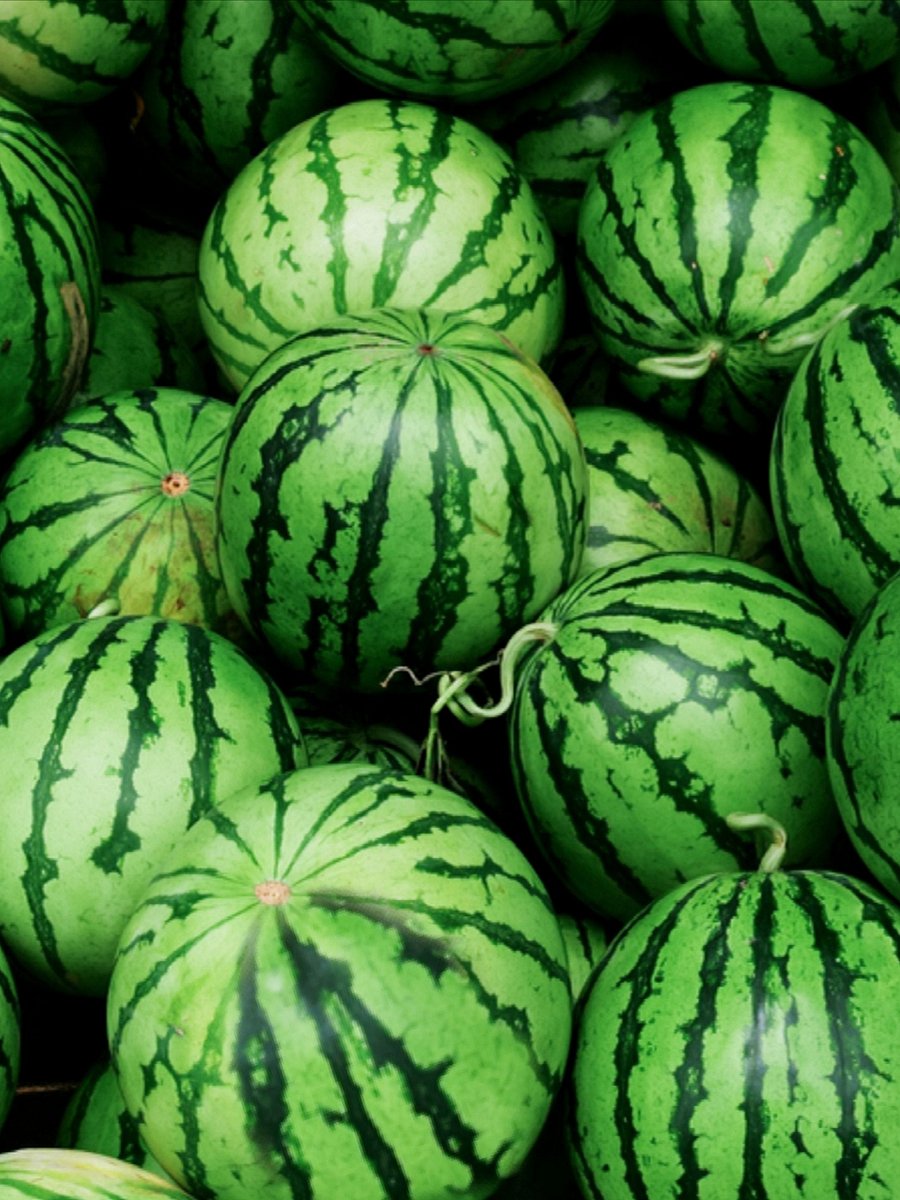 Watermelon Scented 8. oz Candles product image (5)