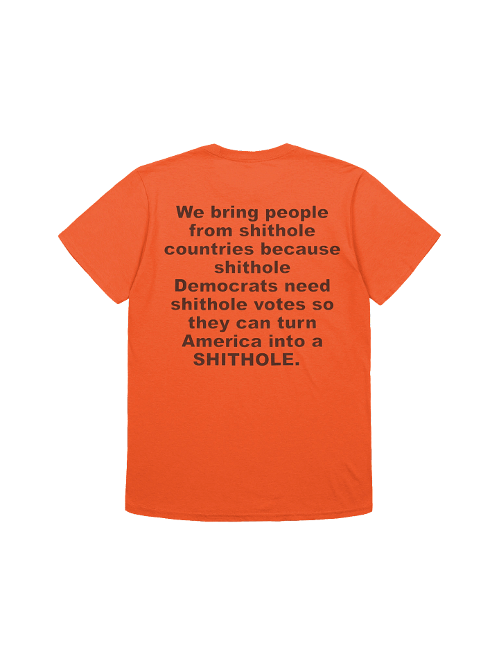 We Bring People From ‘Shithole’ Countries T-Shirt product image (1)