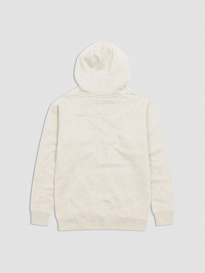 Embroidered Logo Hoodie product image (13)