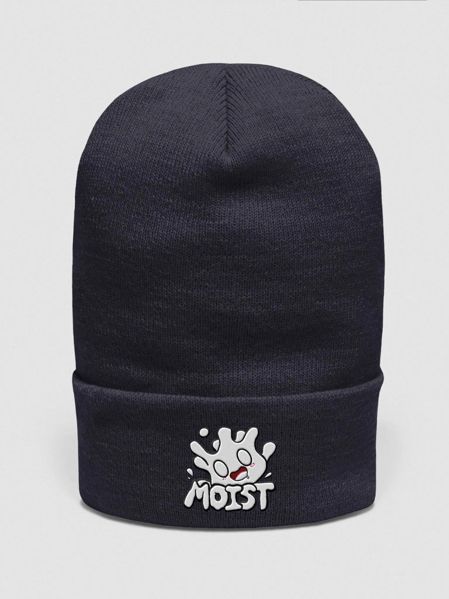 Forbidden Moist Beanie product image (1)
