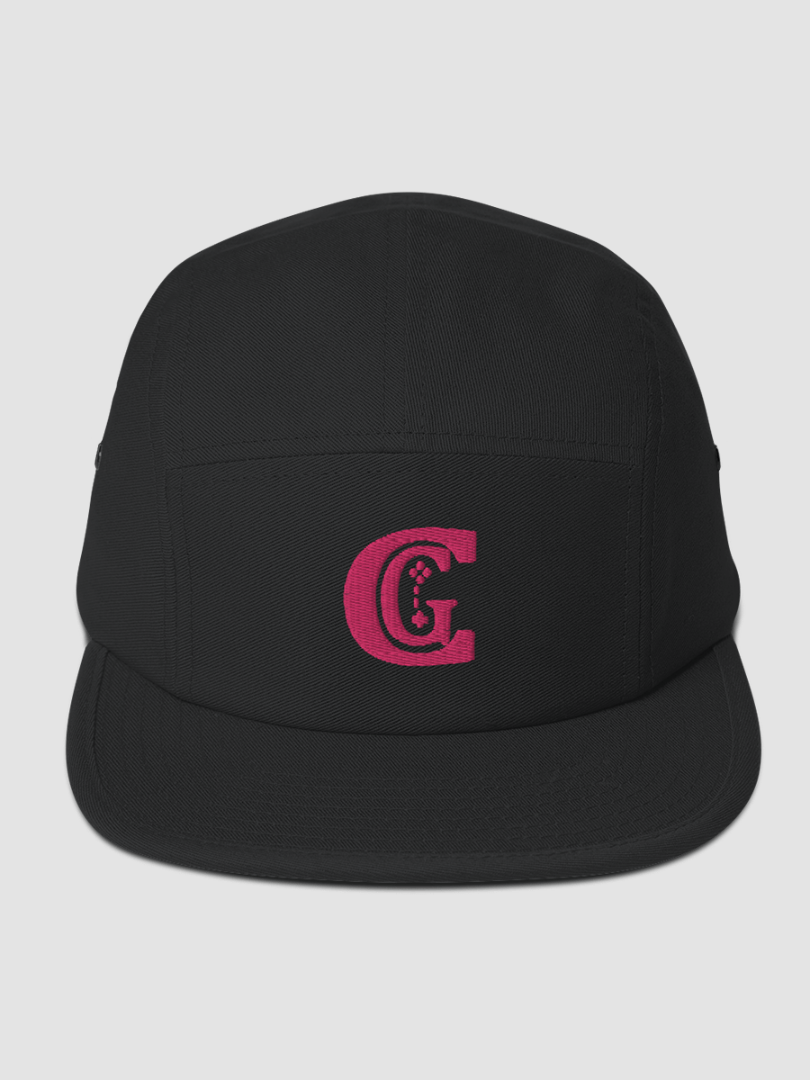 Pink 5 Panel Camper product image (1)