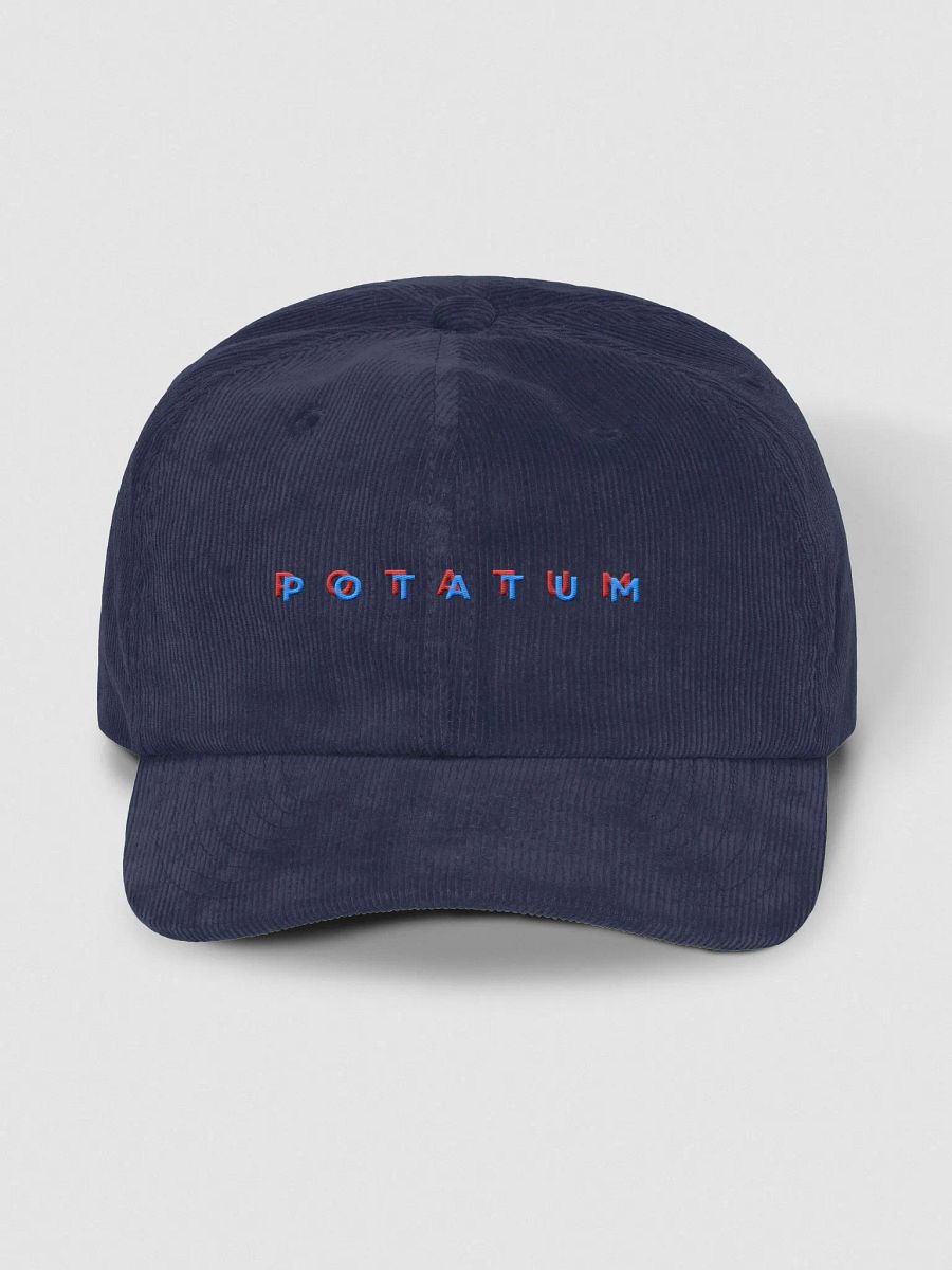 POTATUM 3D corduroy dad hat product image (26)